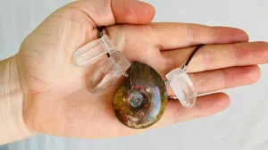 Ammonite, Crystal and Silver Pendant Necklace. 0390