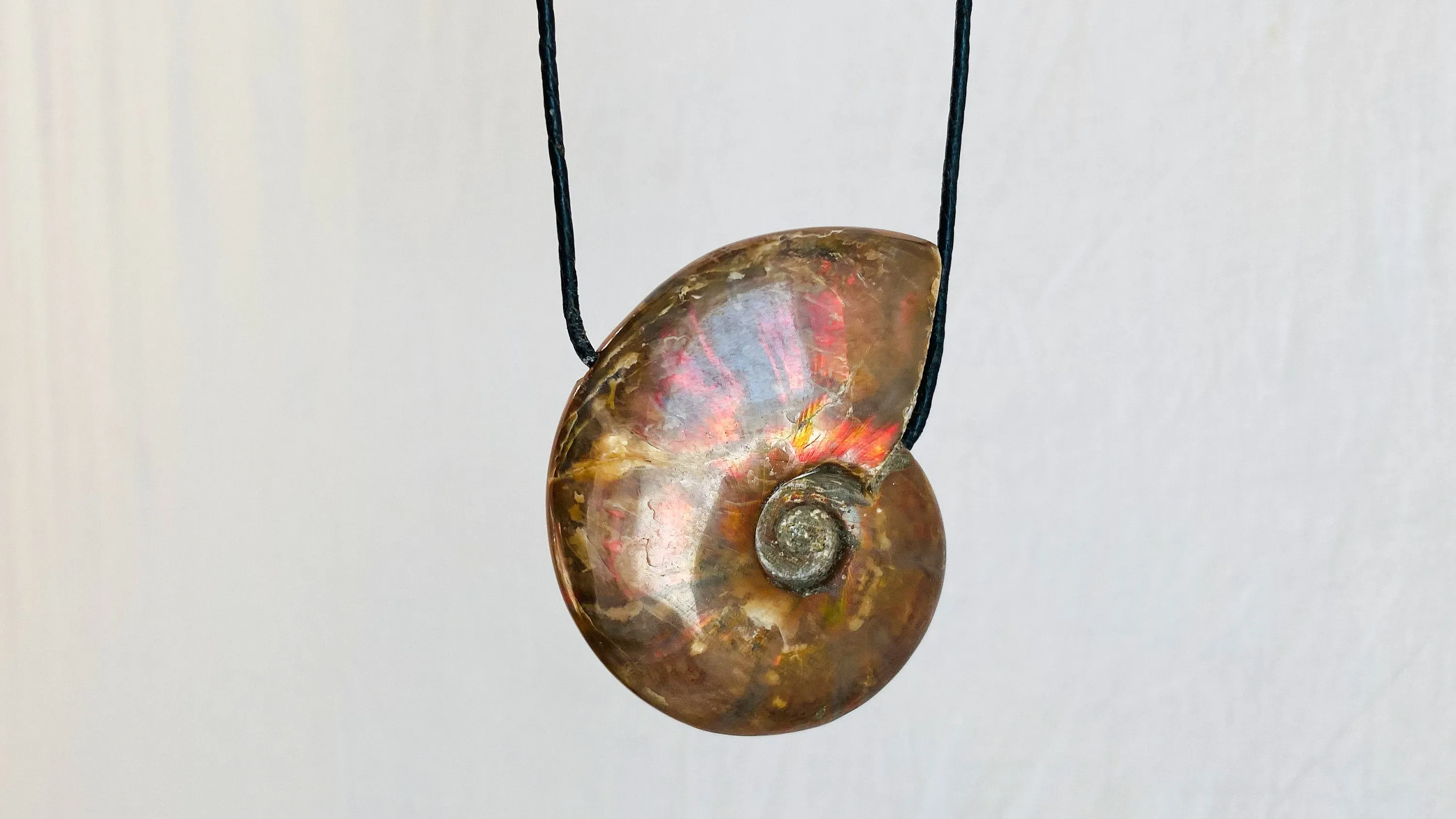 Ammonite Pendant Necklace. 0216