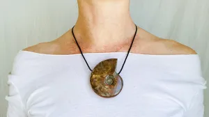 Ammonite Pendant Necklace. 0216