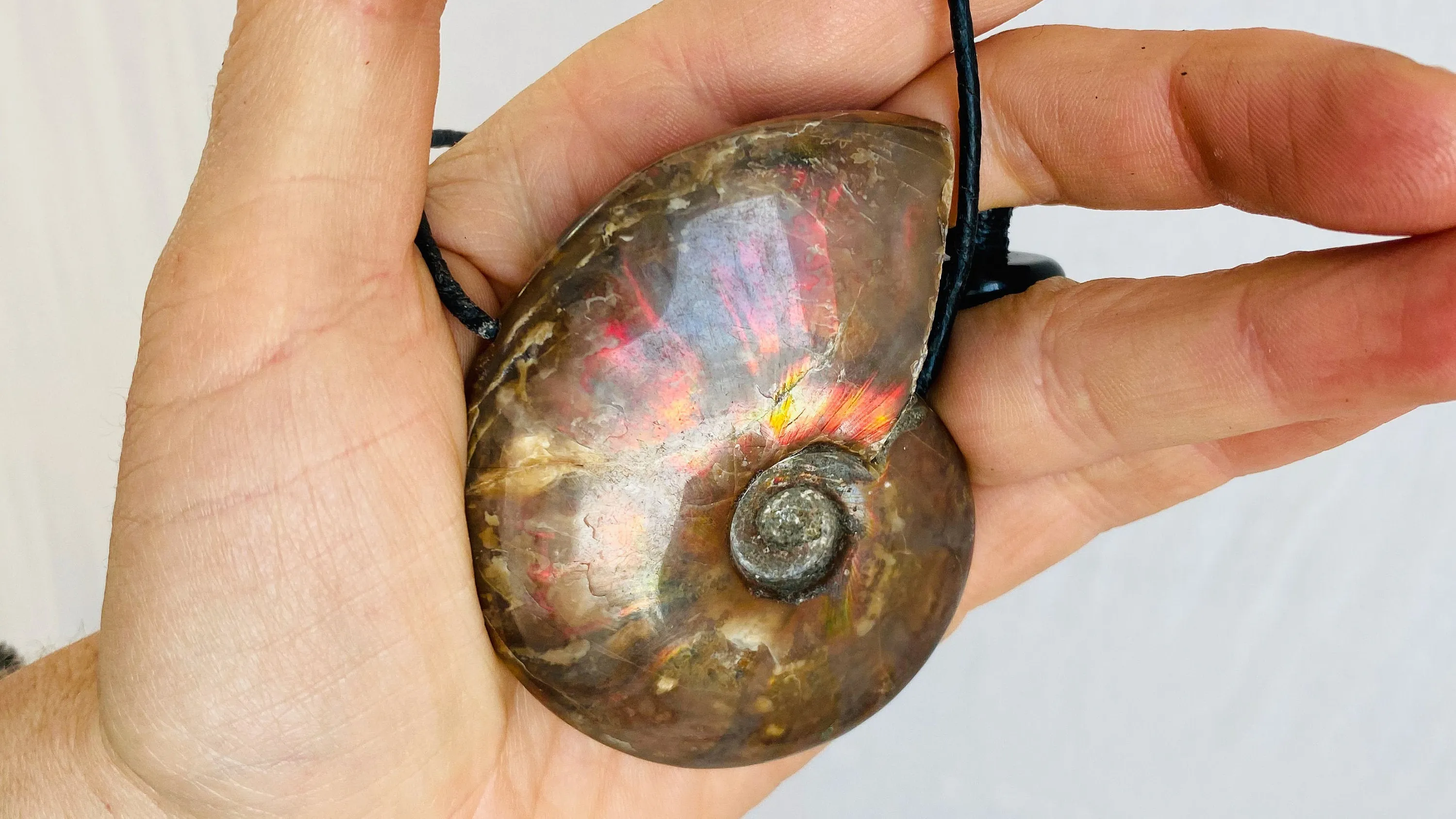 Ammonite Pendant Necklace. 0216