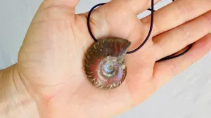 Ammonite Pendant Necklace. 0368