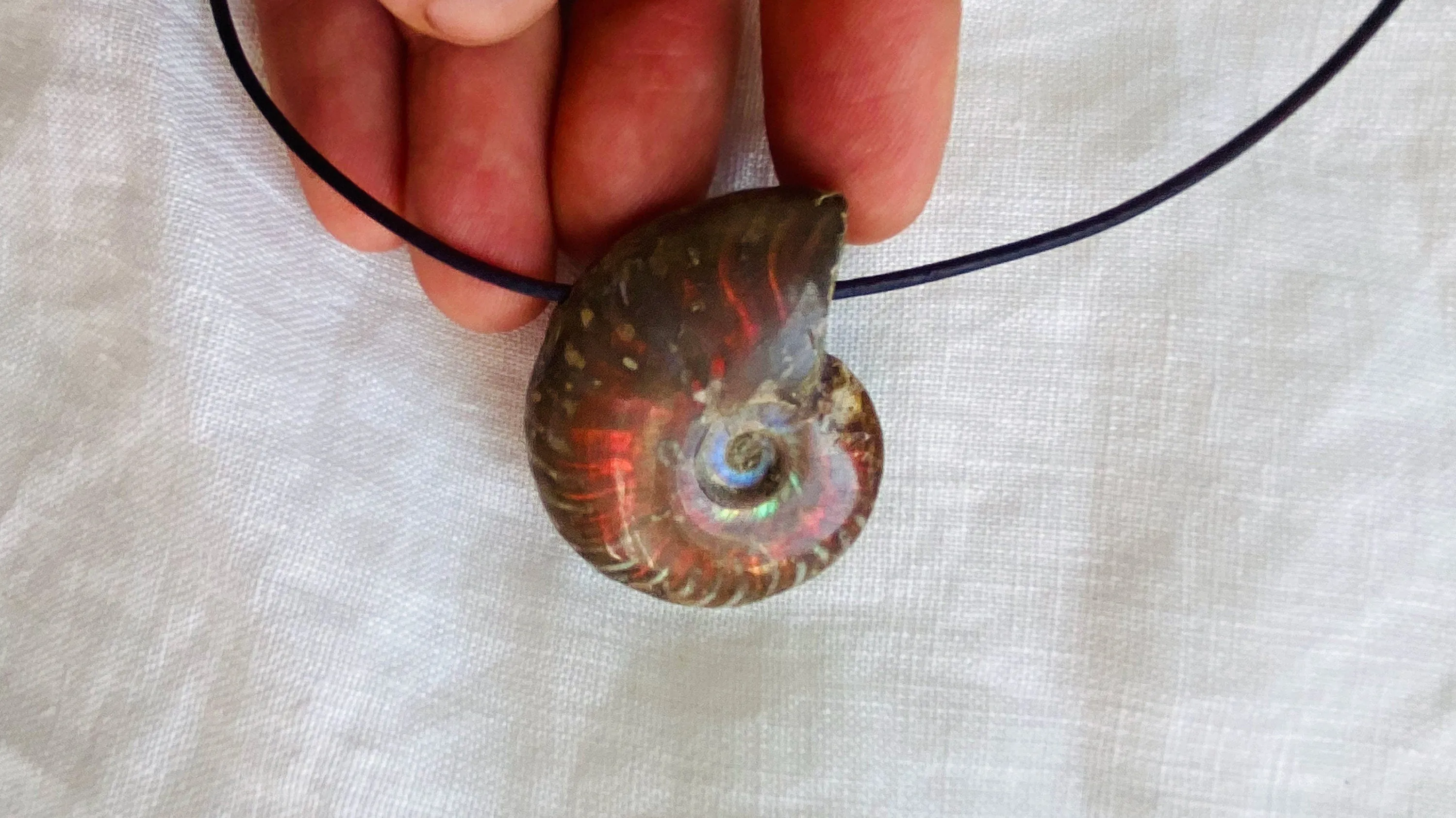 Ammonite Pendant Necklace. 0368